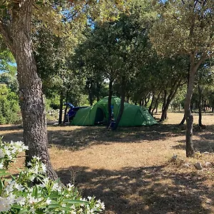  Campsite Sugar